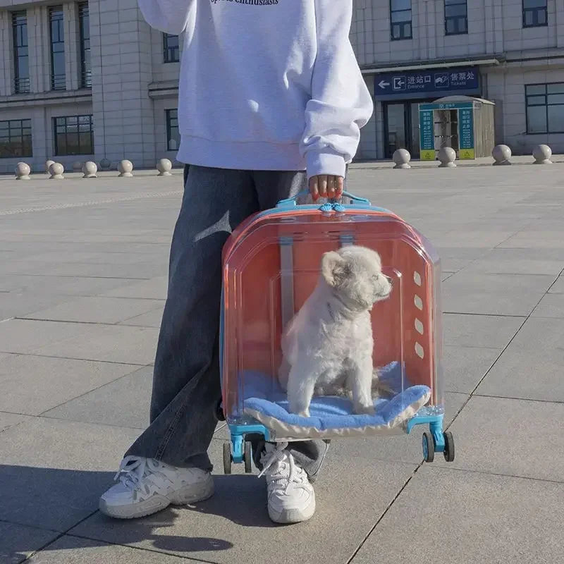 Dog Suitcase Large Capacity Car Trolley Case Transparent Dogs Space Capsule Portable Car for Outing